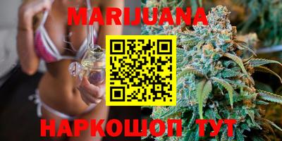гидра Краснодар